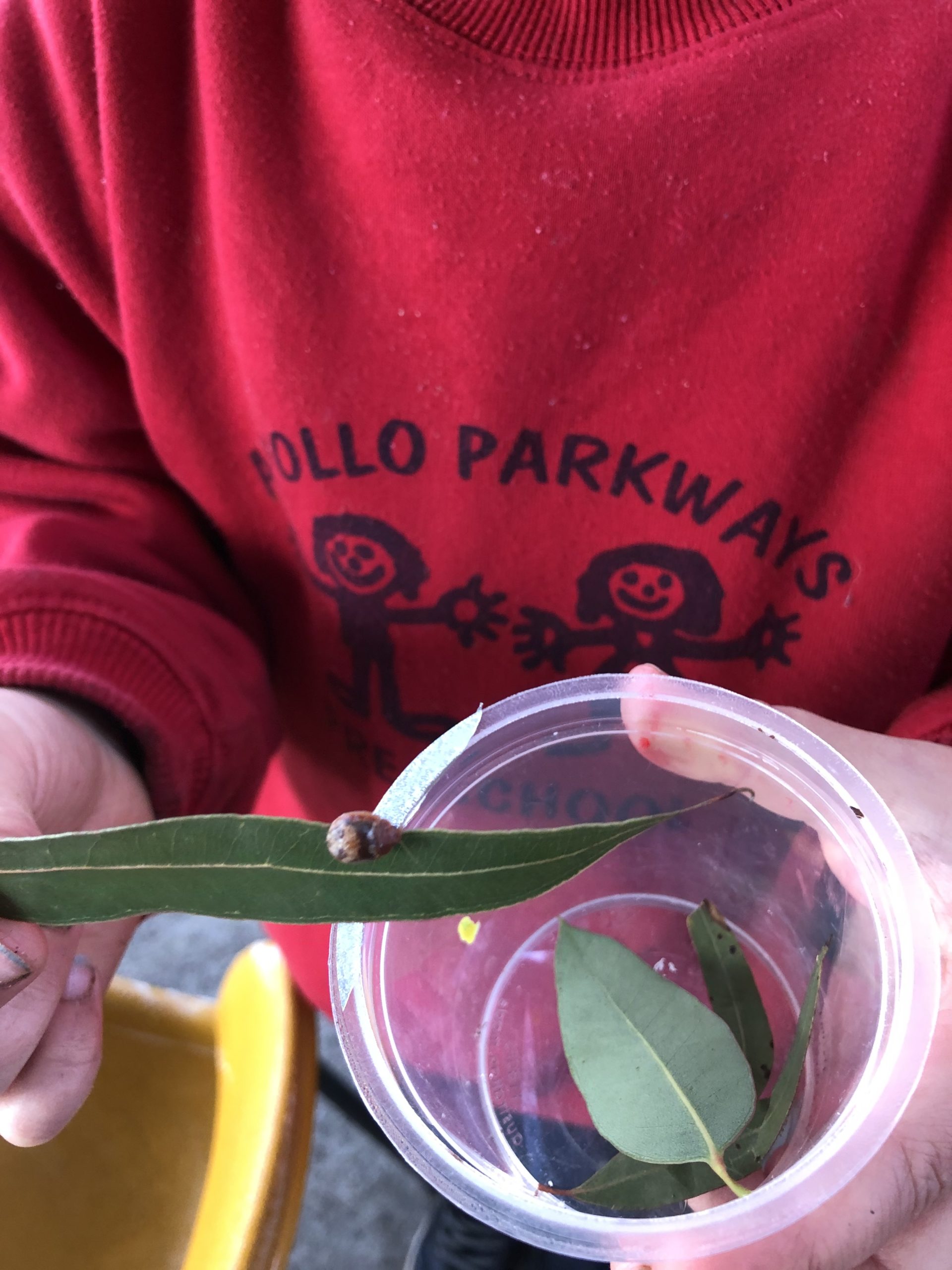 Photo gallery apollo parkways pre school